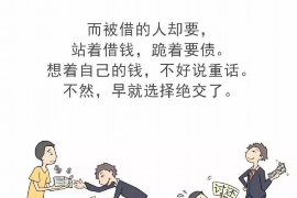 岳池融资清欠服务