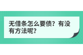 岳池债务清欠服务